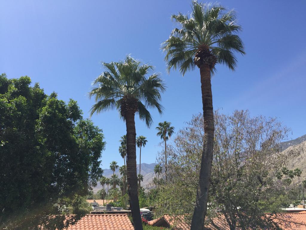 פאלם ספרינגס Warm Sands Villa מראה חיצוני תמונה